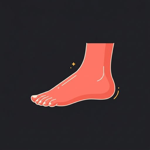 el pie — foot
