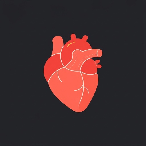 el corazón — heart