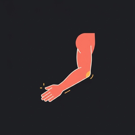 el brazo — arm