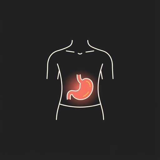 el estómago — stomach